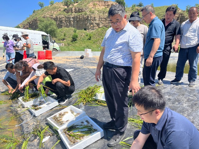 寧波大學將青蟹養(yǎng)殖技術(shù)送到陜西省榆林市 學校供圖.jpg