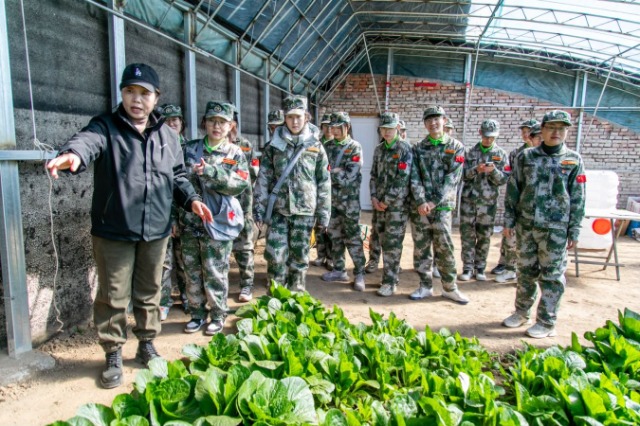 師生在第六埠村蔬菜大棚，了解蔬菜種植過程和常見病蟲害防治等知識。.jpg